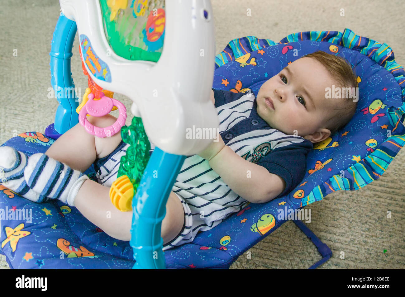 Vier Monate altes Baby junge liegend in einem Schaukelstuhl sitzen in seinem Haus, unterhalten sich mit dem obenliegenden Spielzeug Stockfoto