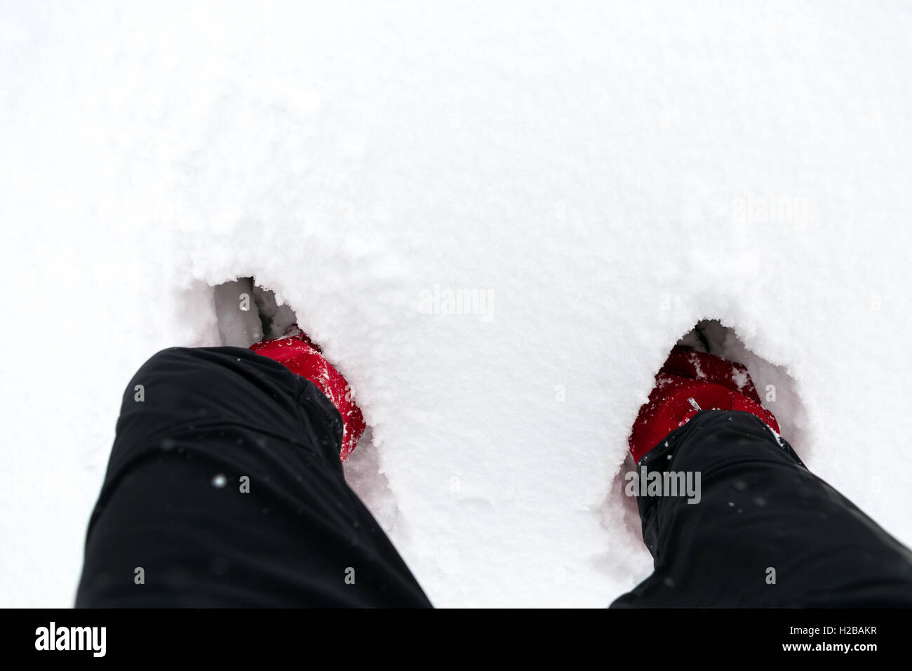Schuhe auf Schnee im weißen Winterwald beim Wandern. Hiker Stiefel und Beine auf weiß verschneiten Hintergrund. Reisen Freizeit Fitness ein Stockfoto