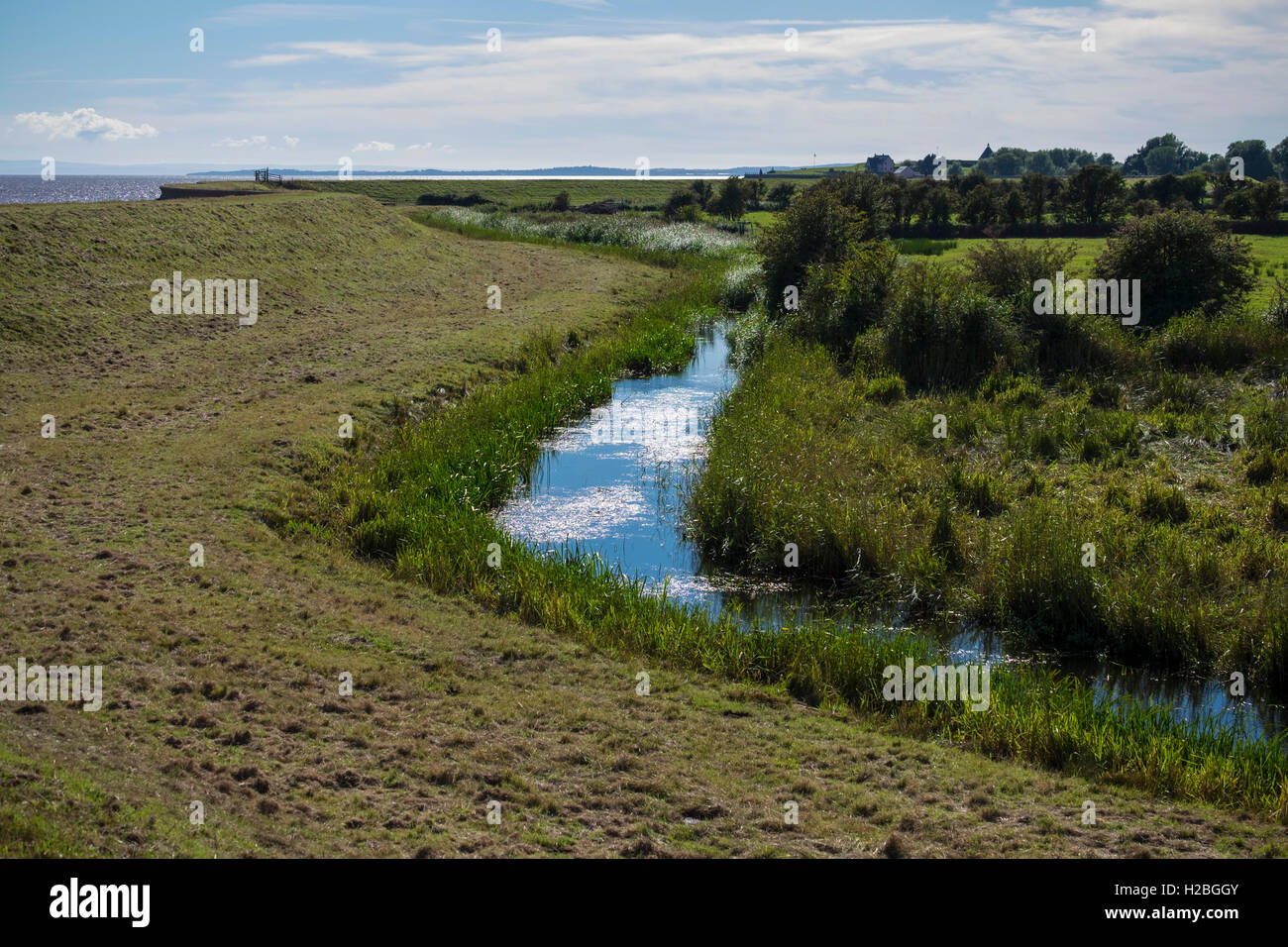 Entwässerung Reen, Gwent Ebenen, in der Nähe von Newport, South Wales, UK Stockfoto