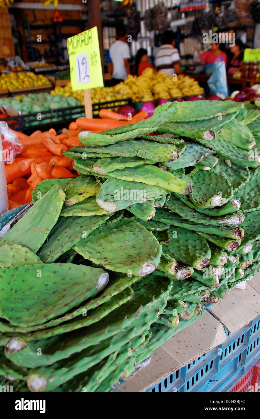 Essbarer Kaktus zum Verkauf auf Markt in Mexiko Stockfoto