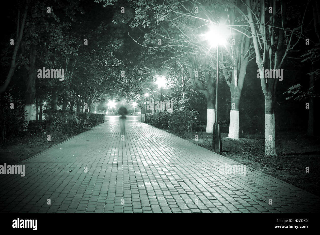 Nachtleben in einem Park mit Lampen, Bäume und einsame Frauen-Silhouette. Kann als eine abstrakte Allegorie interpretiert werden Stockfoto