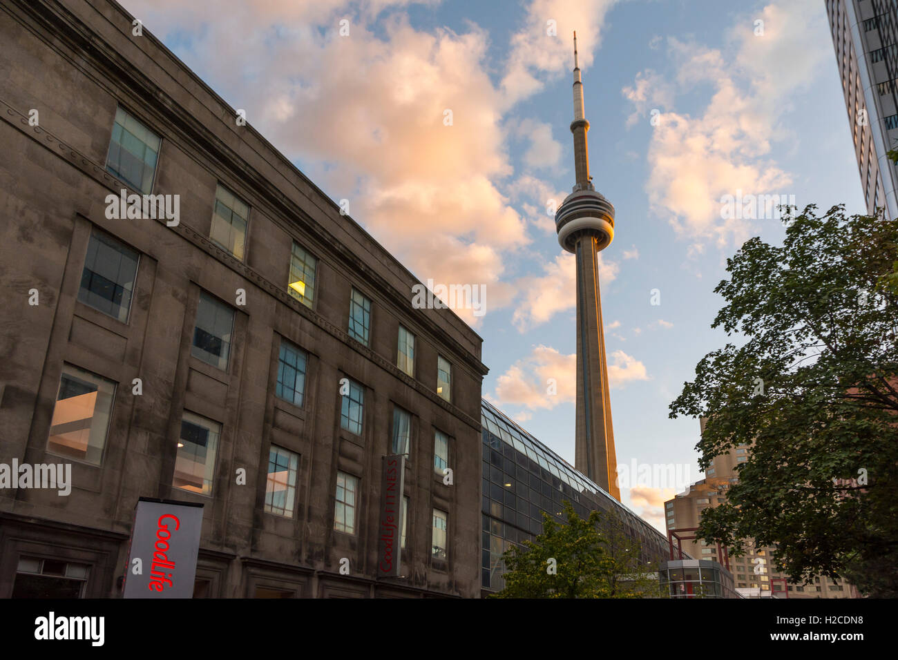 Toronto, Kanada-august 2, 2015:view des CN Tower in Toronto bei einem Sonnenuntergang von einem der zentralen Straße der Stadt, nahe der Stockfoto