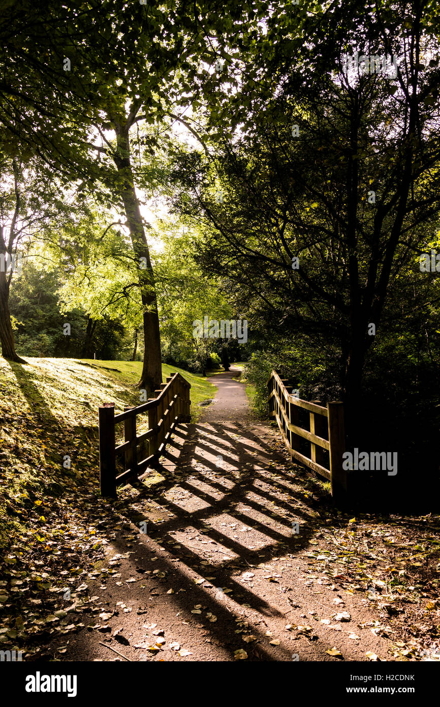 Sonnenlicht durch die Bäume auf die Brücke, Pollok Park, Glasgow, Schottland Stockfoto