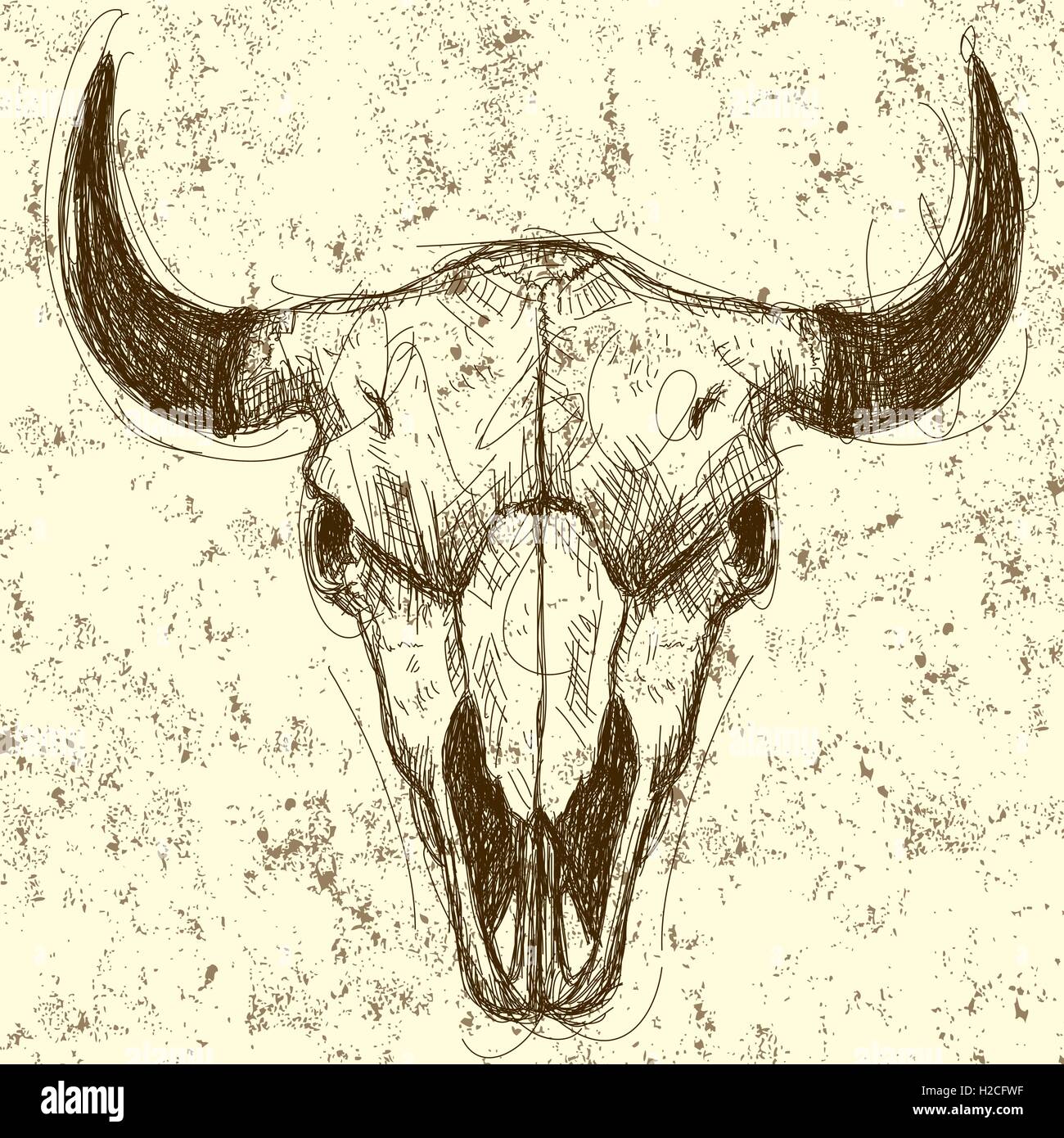 Kuh-Schädel Kuh Schädel Zeichnung über einen abstrakten Hintergrund. Stock Vektor
