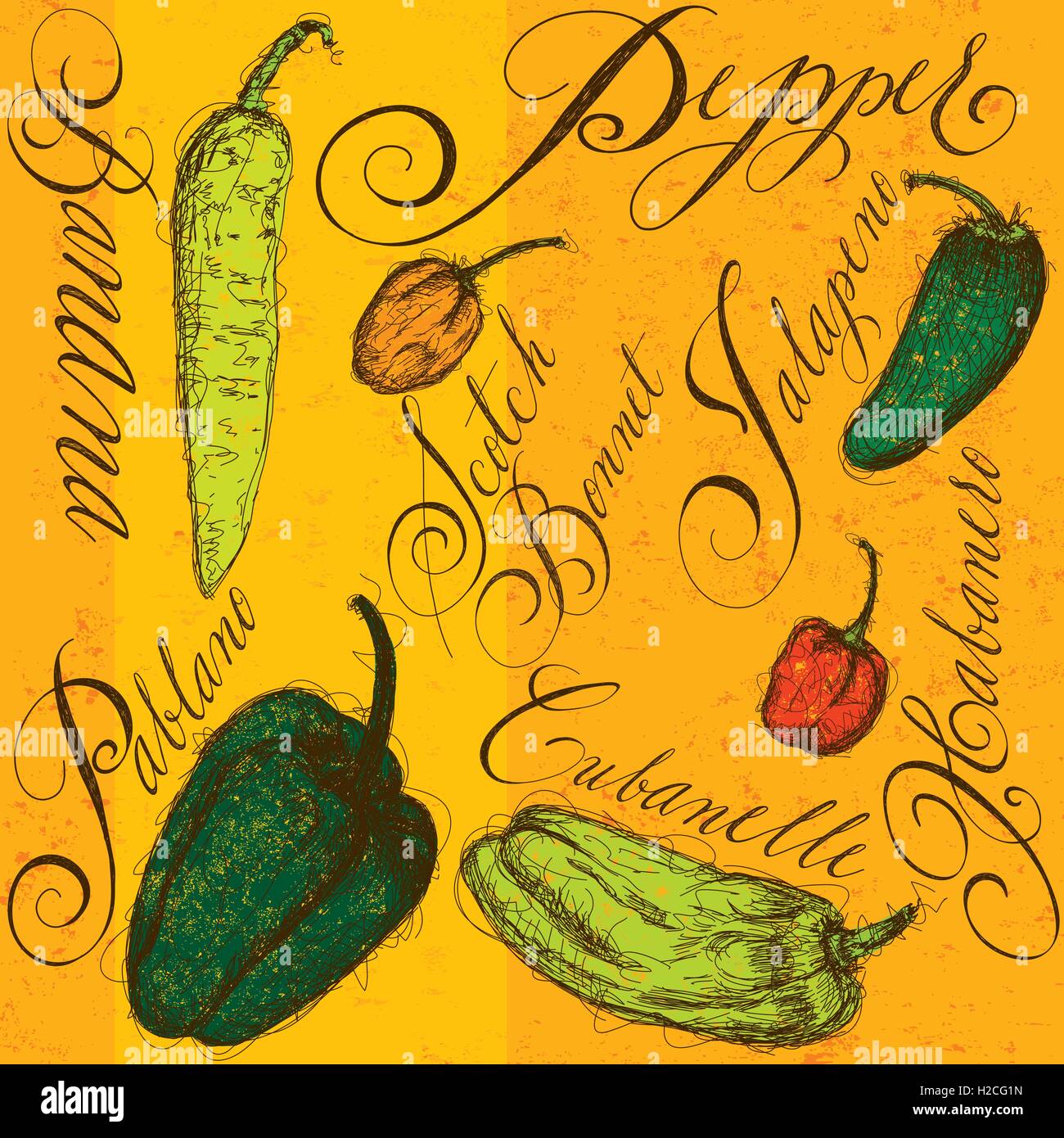 Chilischoten mit Kalligraphie die Paprika sind Habanero, Jalapeno, Cubanelle, Banane, Scotch Bonnet und Pablano. Stock Vektor
