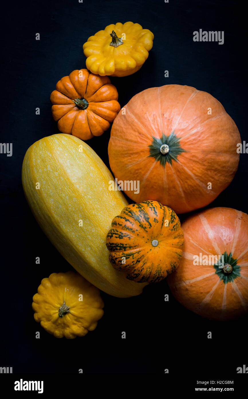 Im Herbst Kürbisse, Thanksgiving und Halloween-Hintergrund. Vertikale Konzerttournée Stockfoto