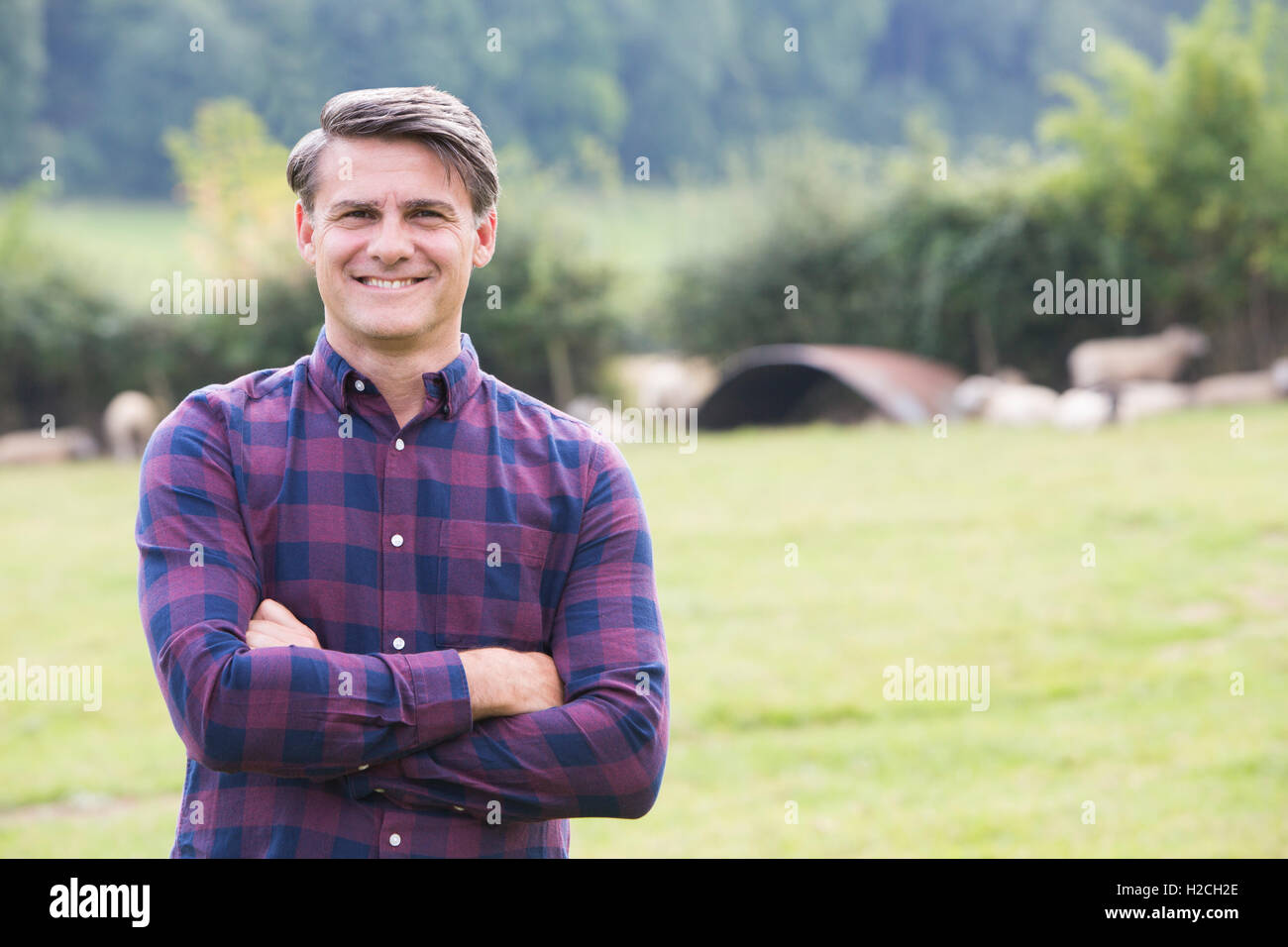 Porträt der Bauer im Feld mit Schafen Stockfoto