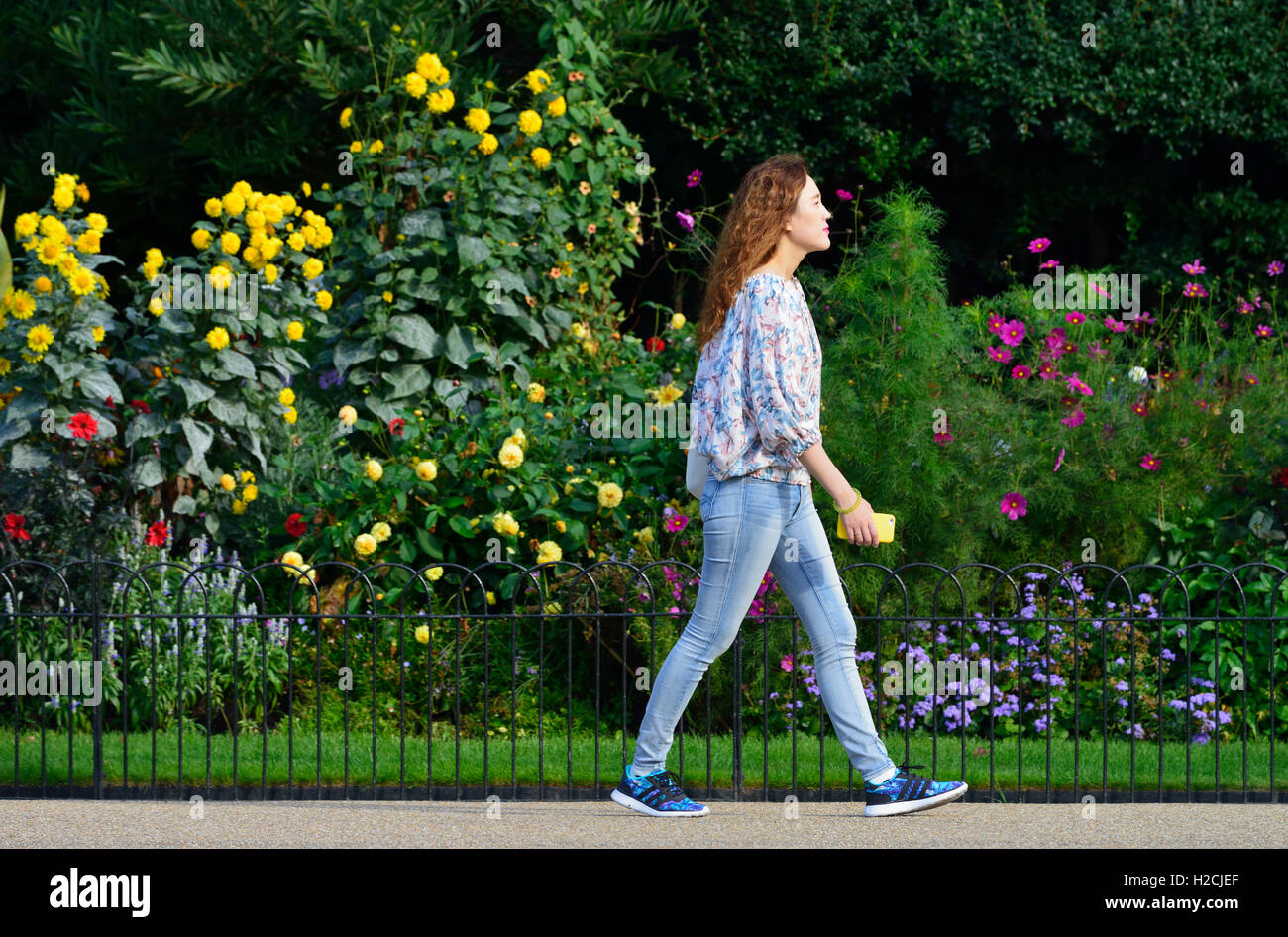 Frau zu Fuß im Hyde Park, London, Vereinigtes Königreich Stockfoto