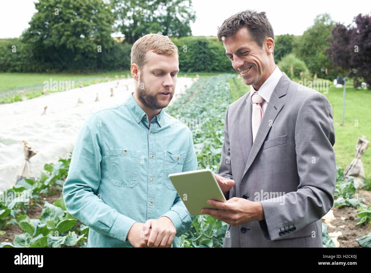 Geschäftsmann mit Digital-Tablette bei Treffen mit Bauer im Feld Stockfoto