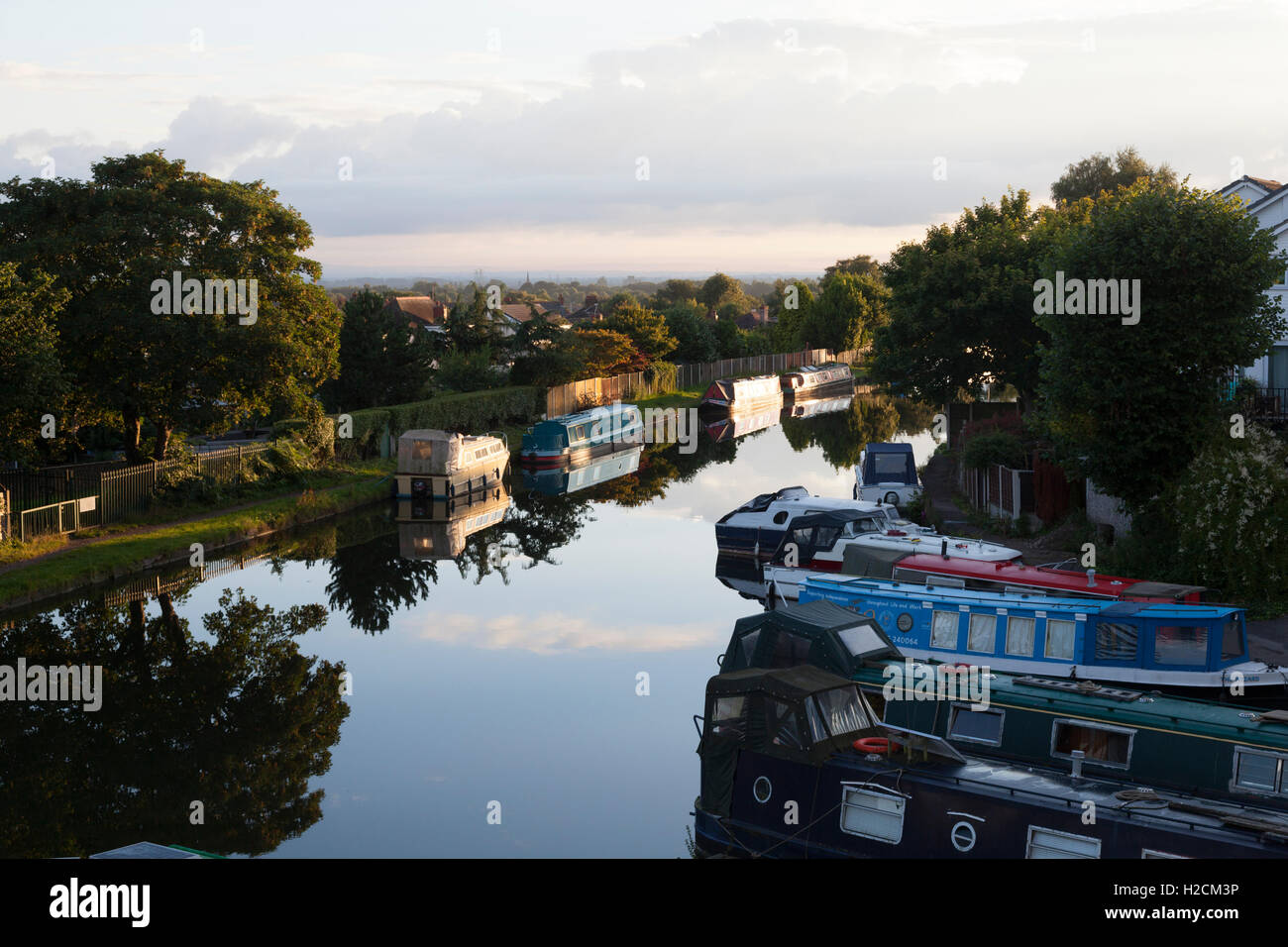 Frühen Sommermorgen am Bridgewater Canal, Appleton, Cheshire Stockfoto