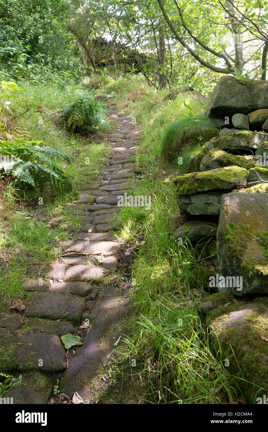 Gepflasterten Weg durch Hollin Hey Holz, Mytholmroyd, West Yorkshire Stockfoto