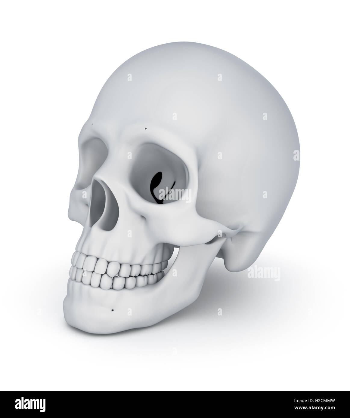 Weißer Schädel über weiße, 3D illustration Stockfoto