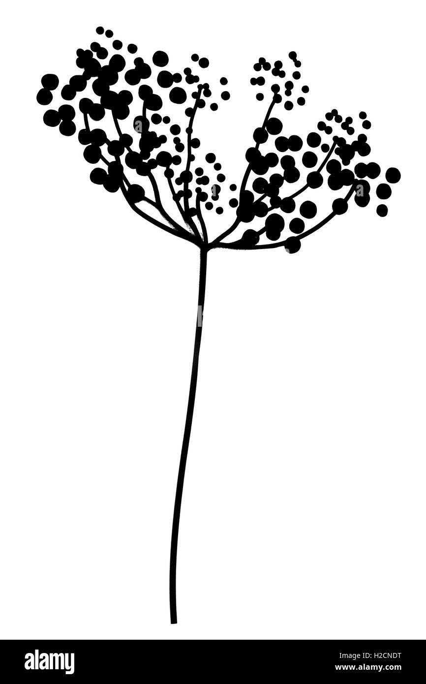 Schwarze Blume Abstrakt Hintergrund schmücken Stockfoto