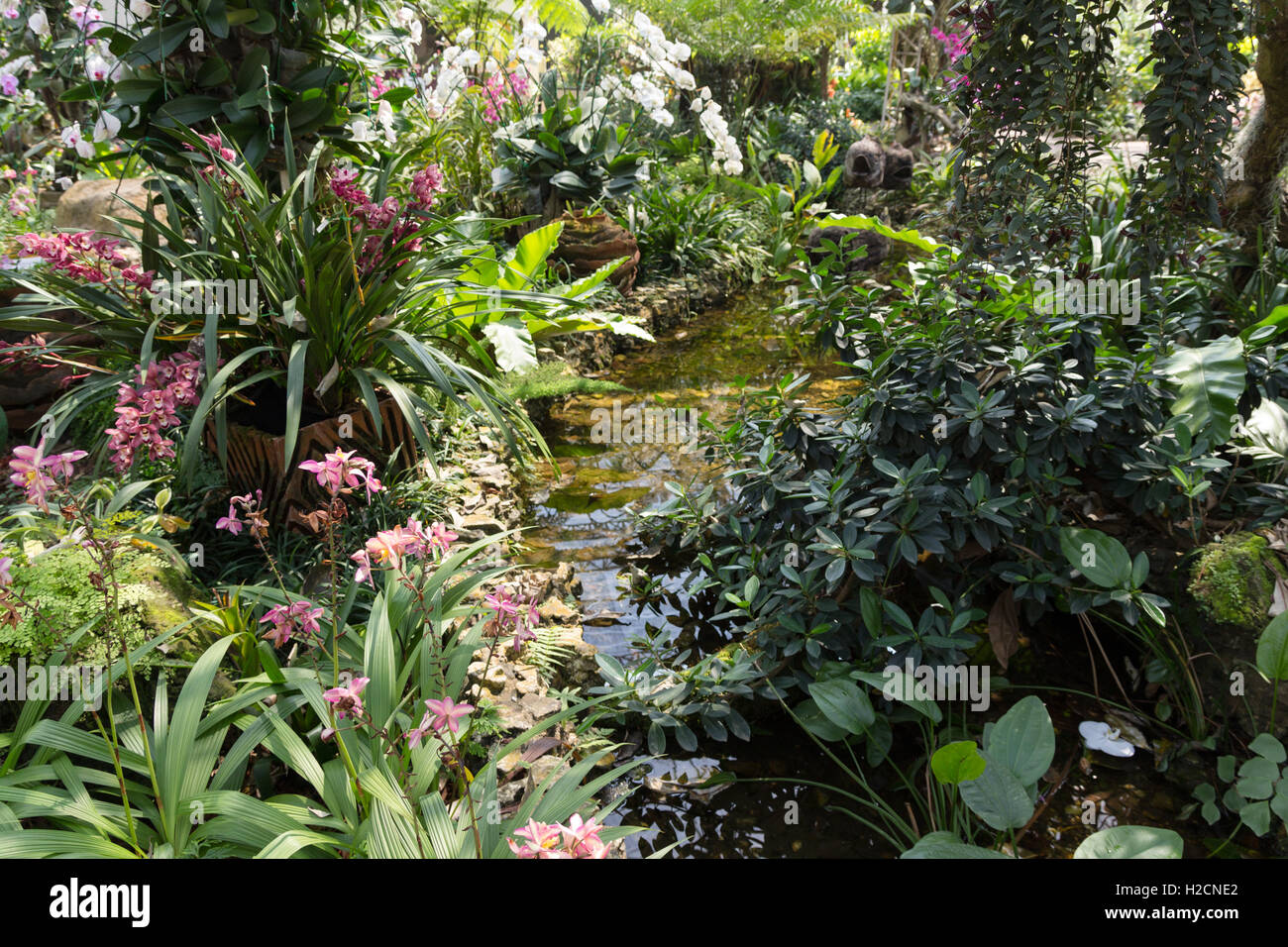 Der garten ist die landschaft Fotos und Bildmaterial in hoher