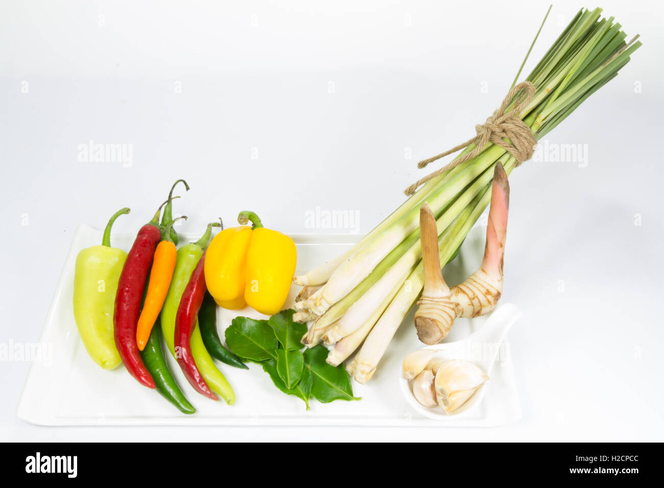 Gruppe von Kraut Zutaten zum Kochen thai-Küche Stockfoto