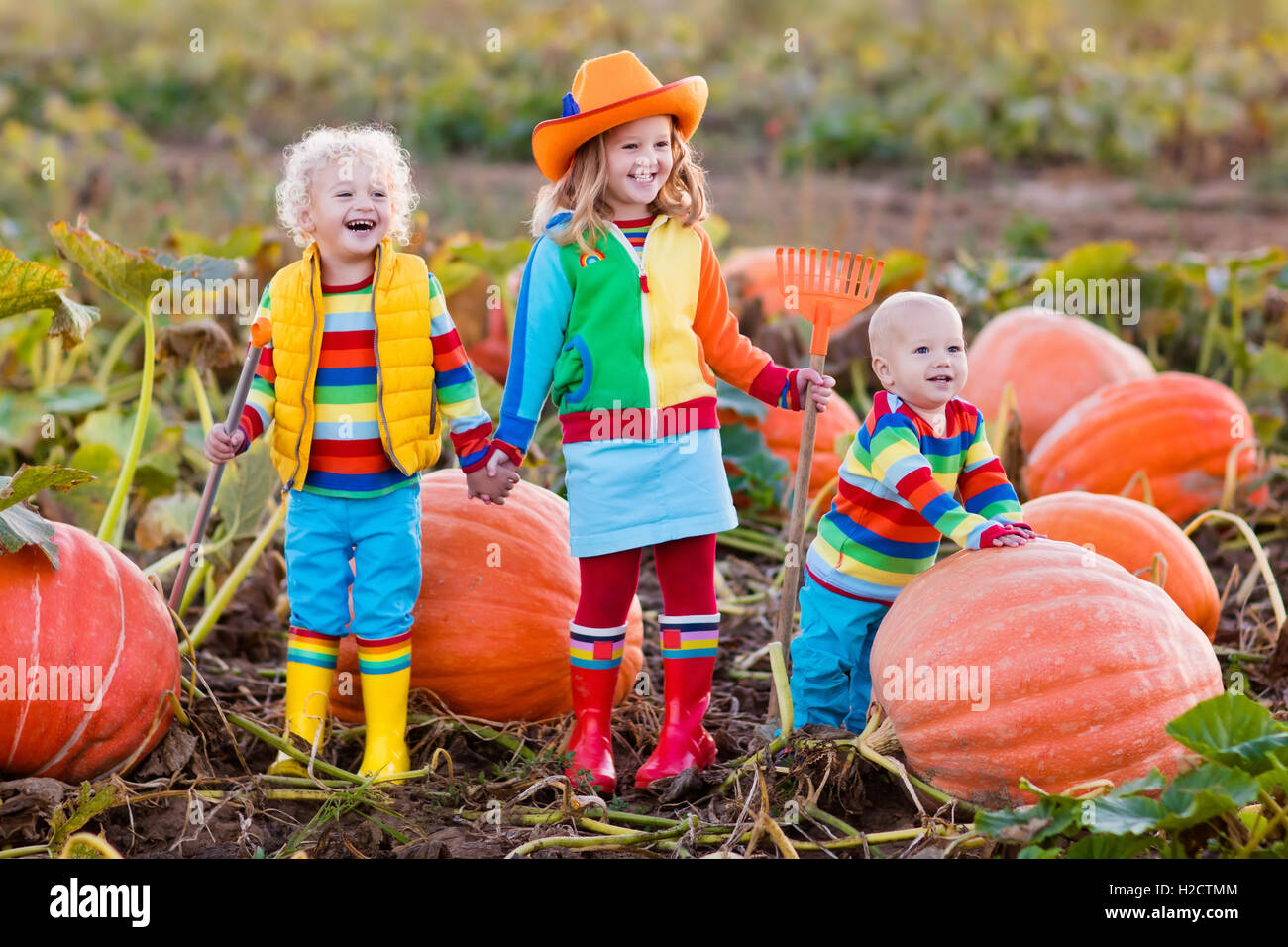 Kleine Mädchen, jungen und Baby Kommissionierung Kürbisse zu Halloween Pumpkin Patch. Kinder spielen im Bereich der Kürbis. Kinder wählen Sie Gemüse Stockfoto