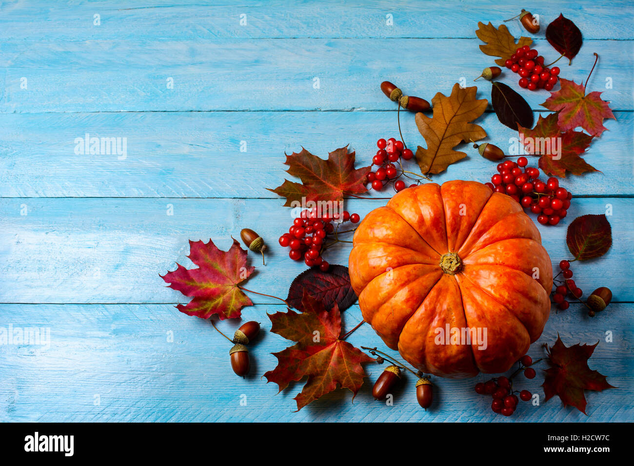 Thanksgiving-Hintergrund mit Reifen Kürbis auf blauen Holztisch. Thanksgiving-Hintergrund mit saisonalem Gemüse und Beeren. Stockfoto