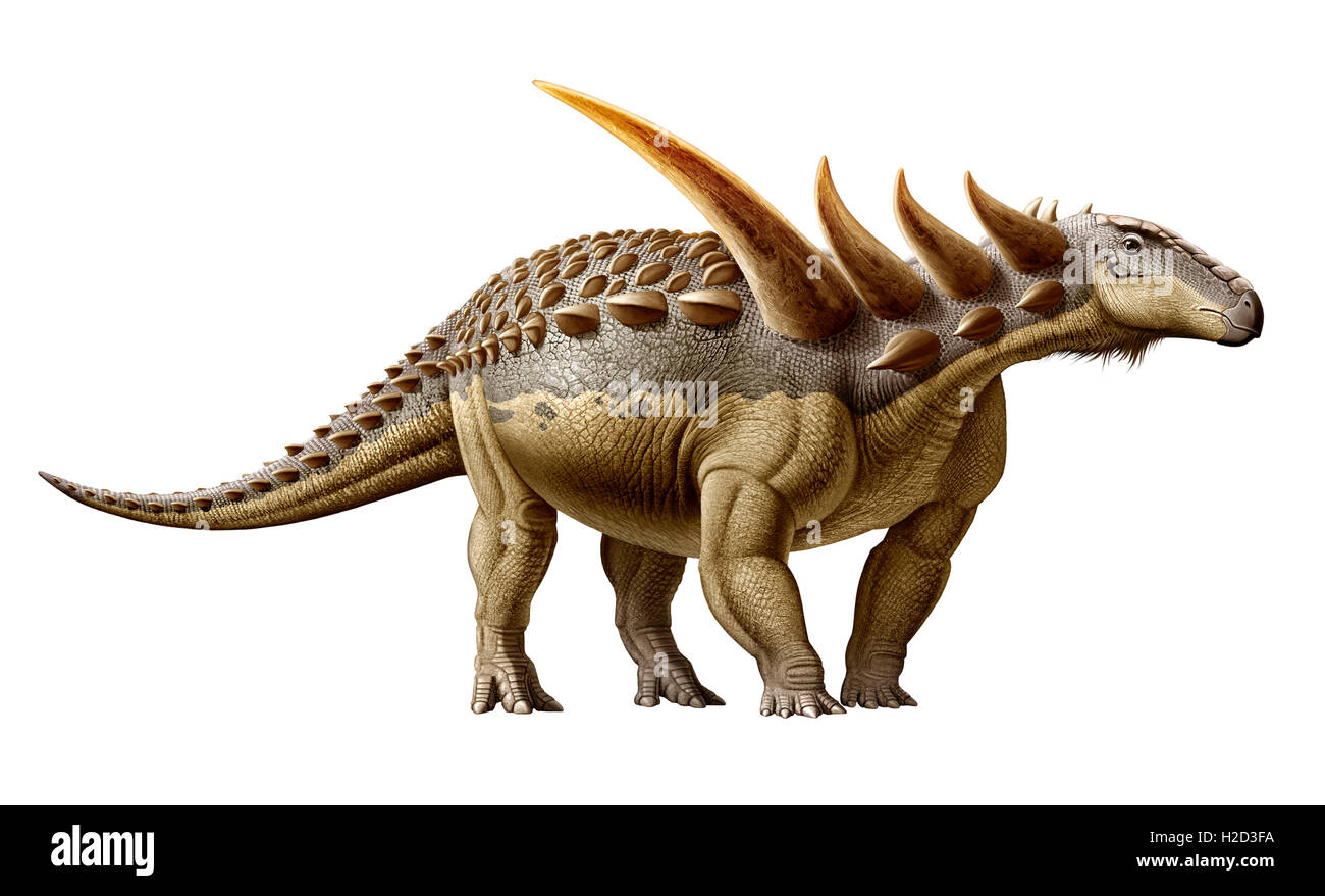 Sauropelta, ist ein Nodosaurid Dinosaurier, der in der frühen Kreidezeit existierten Stockfoto