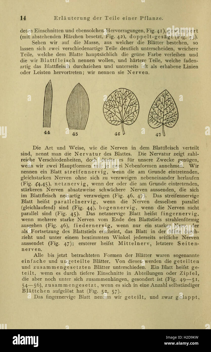 Anleitung Zum Botanisieren Und Zur Anlegung von Pflanzensammlungen (Seite 14) Stockfoto