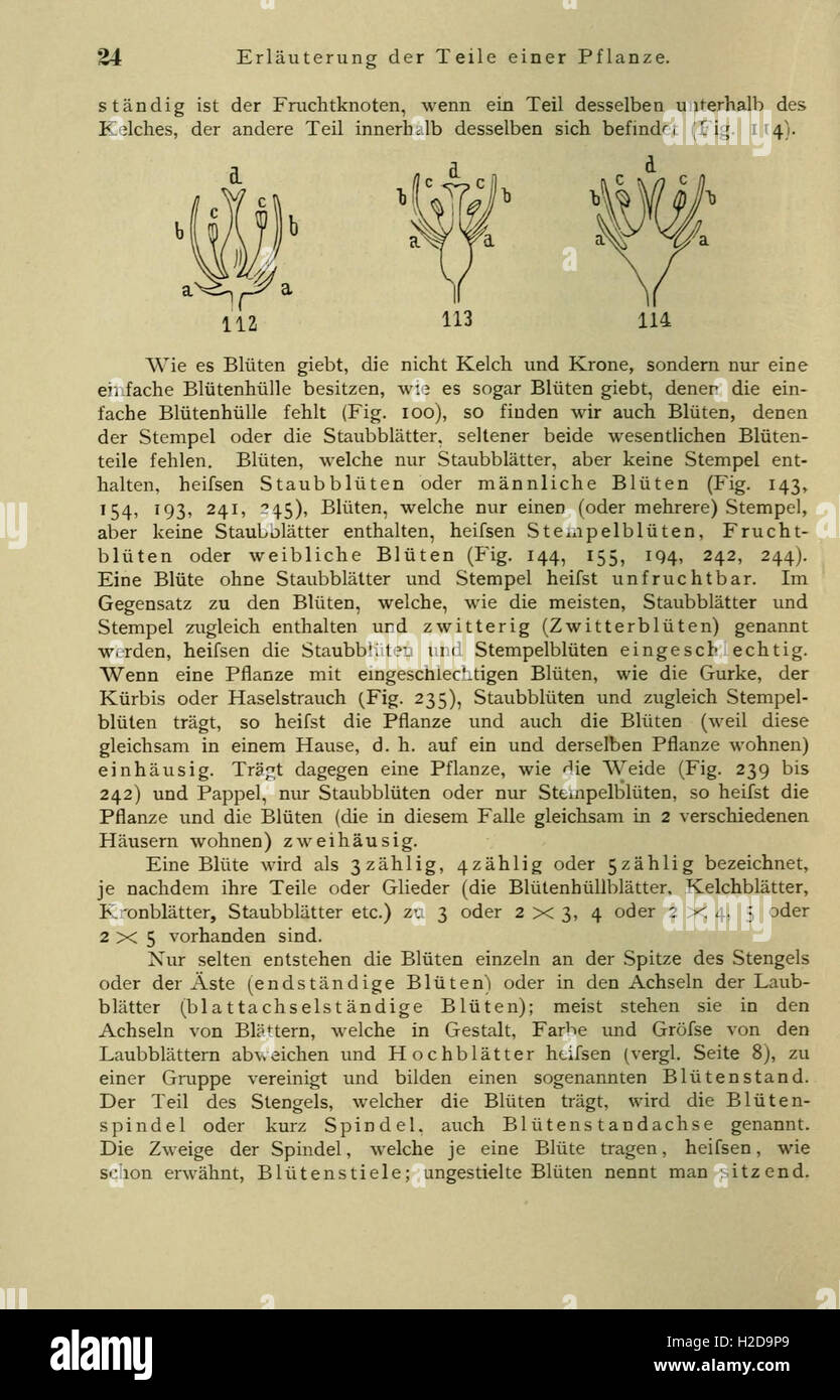 Anleitung Zum Botanisieren Und Zur Anlegung von Pflanzensammlungen (Seite 24) Stockfoto