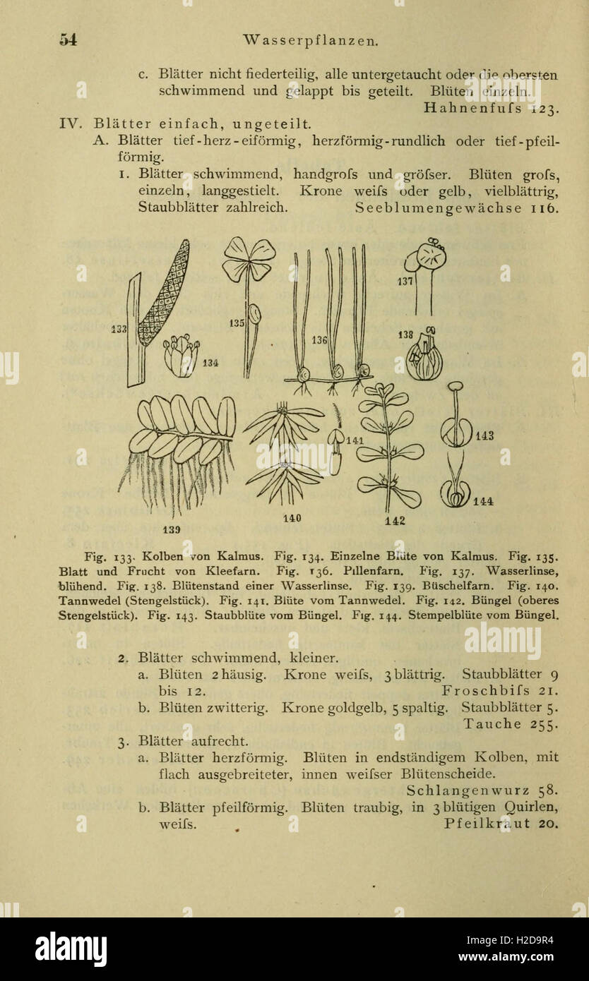 Anleitung Zum Botanisieren Und Zur Anlegung von Pflanzensammlungen (Seite 54) Stockfoto