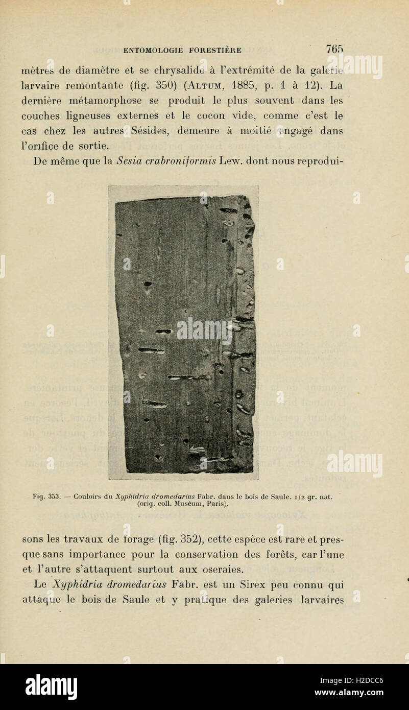 Annales De La Science Agronomique Française et Étrangère (Seite 765) Stockfoto