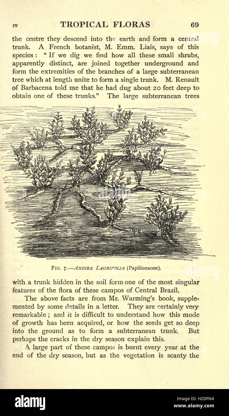 Diese Arbeit beschäftigt sich mit den verschiedenen Lebensformen und erforscht Ökosysteme, biologische Vielfalt und die Verflechtungen von Organismen in der natürlichen Welt. Stockfoto