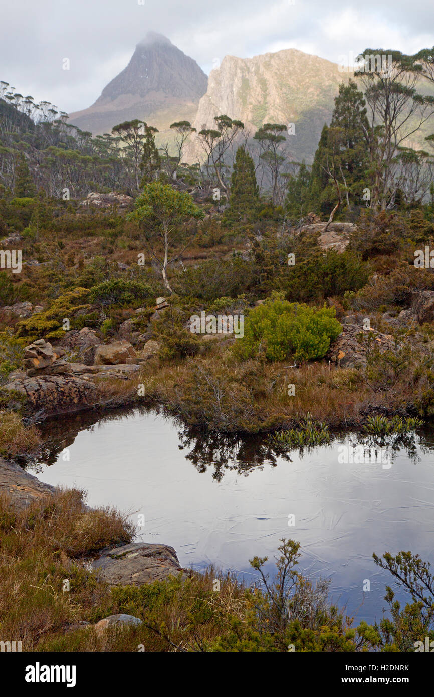 See in das Labyrinth im Cradle Mountain-Lake St. Clair National Park Stockfoto