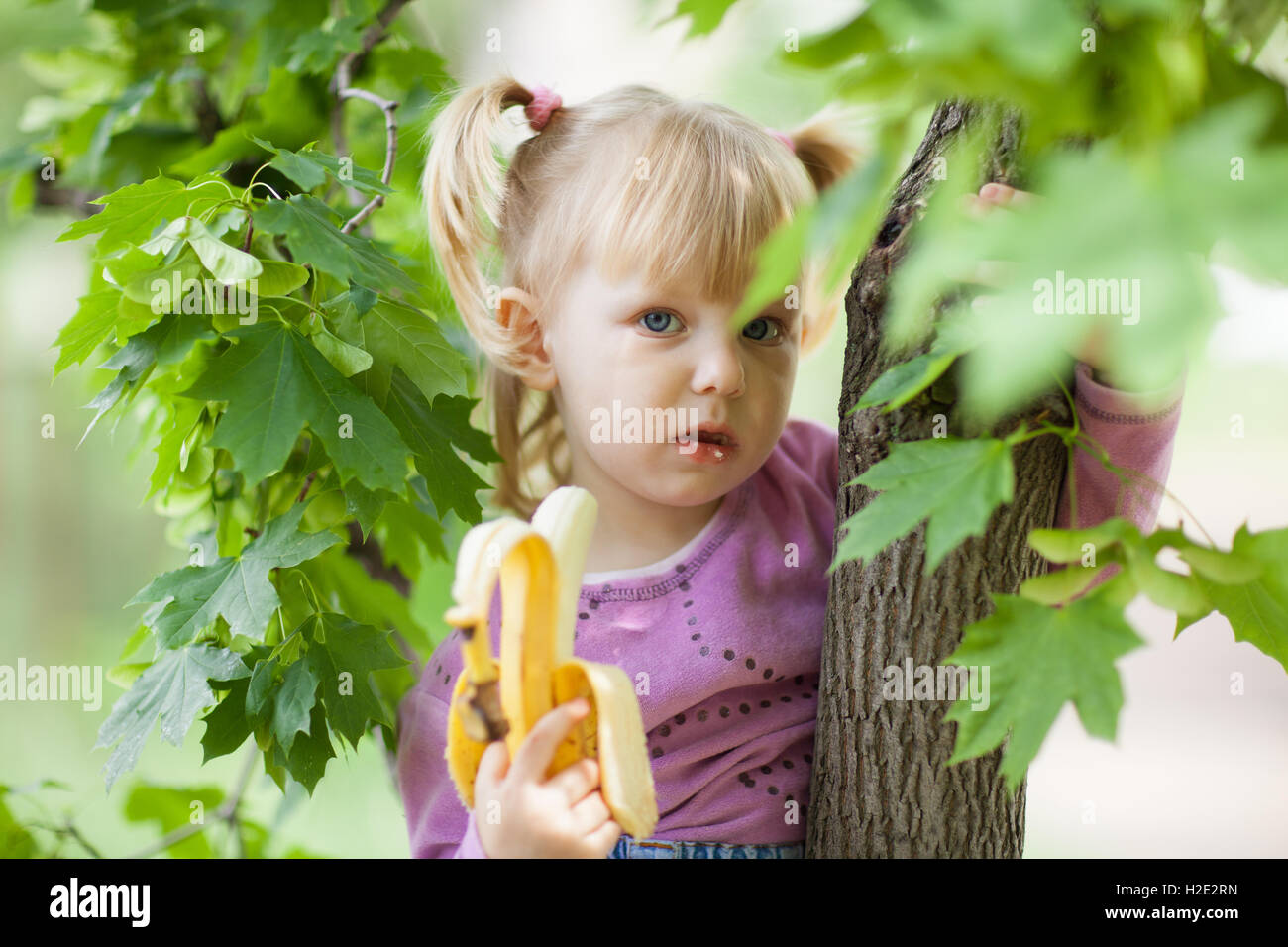 Mädchen auf dem Baum mit Banane Stockfoto