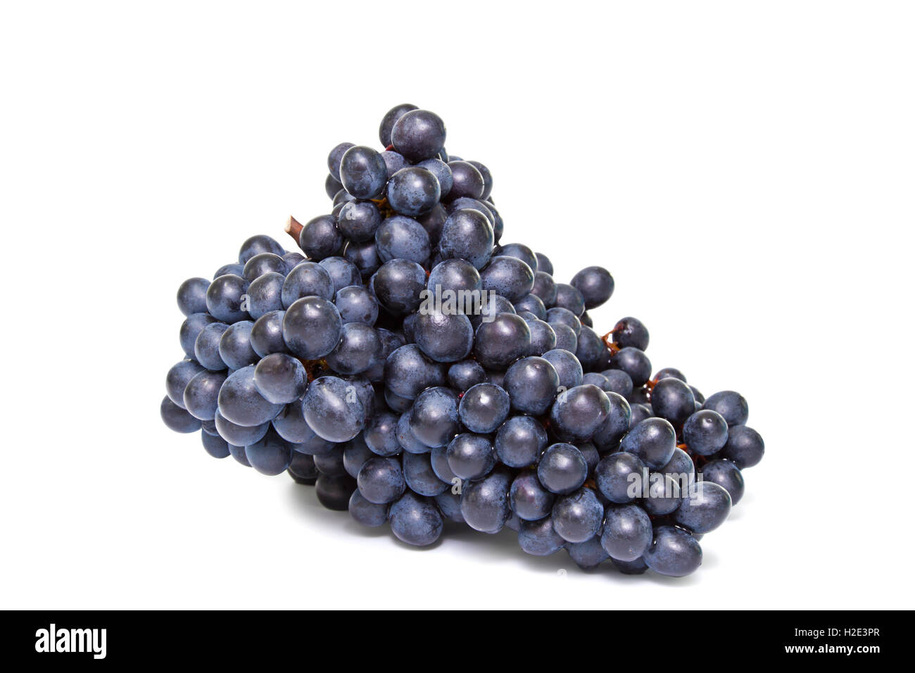 Frische rote Weintraube isoliert auf weißem Hintergrund Stockfoto
