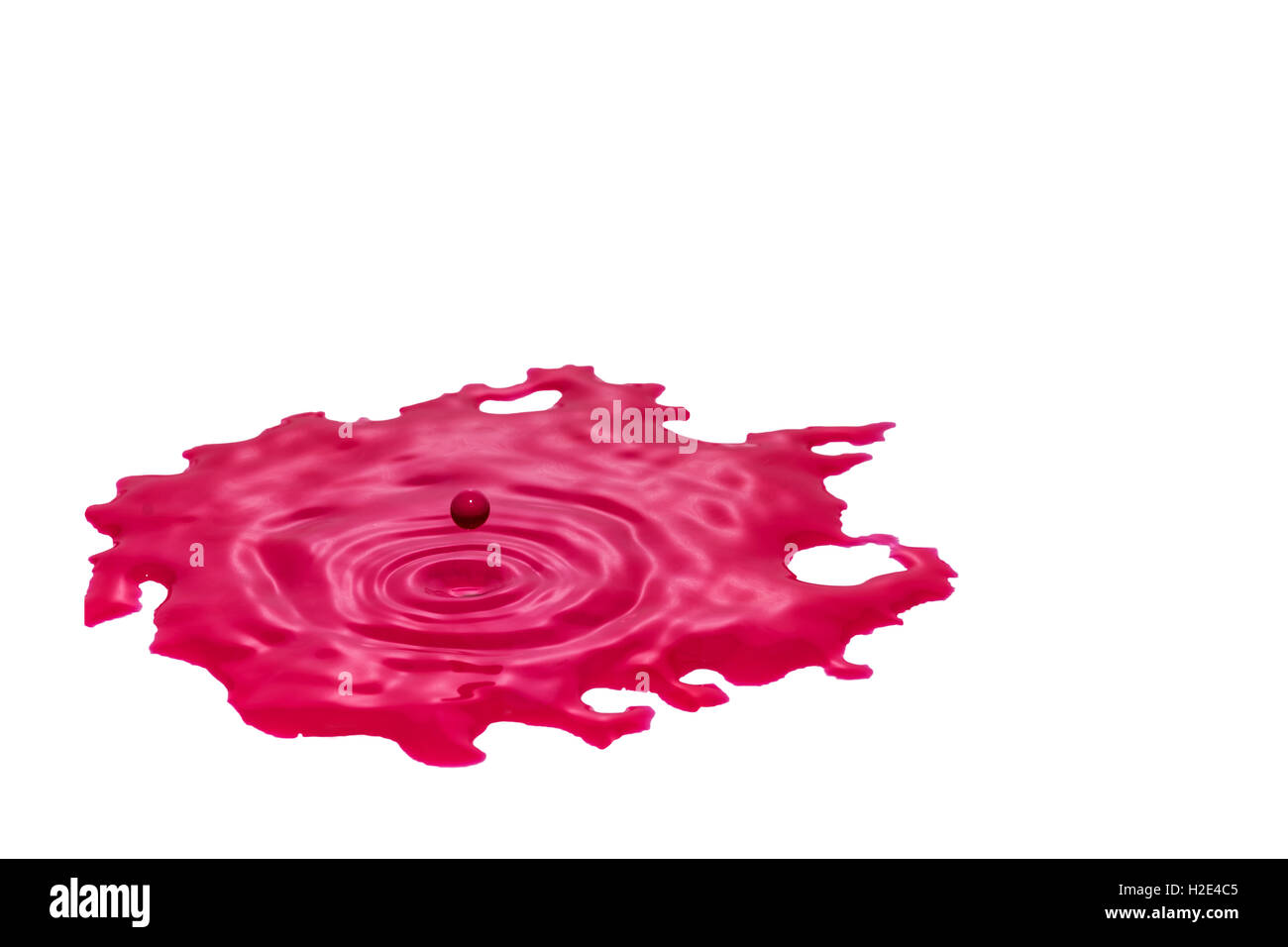 Detailansicht des Tropfens von roter Farbe kurz vor dem Aufprall in eine Pfütze von roter Farbe. Alles ist auf dem weißen Hintergrund isoliert. Stockfoto