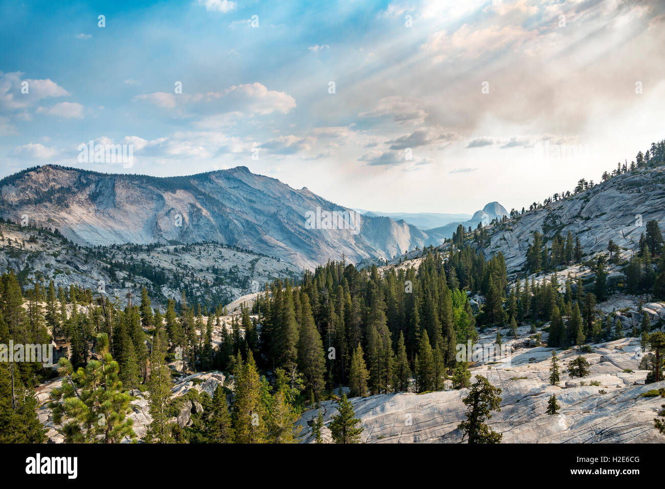 Blick in Richtung High Sierra, Olmsted Point, Yosemite-Nationalpark, Kalifornien, USA Stockfoto