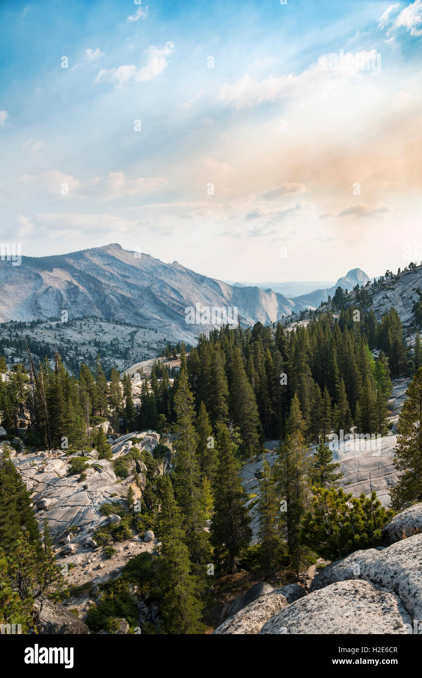 Blick in Richtung High Sierra, Olmsted Point, Yosemite-Nationalpark, Kalifornien, USA Stockfoto