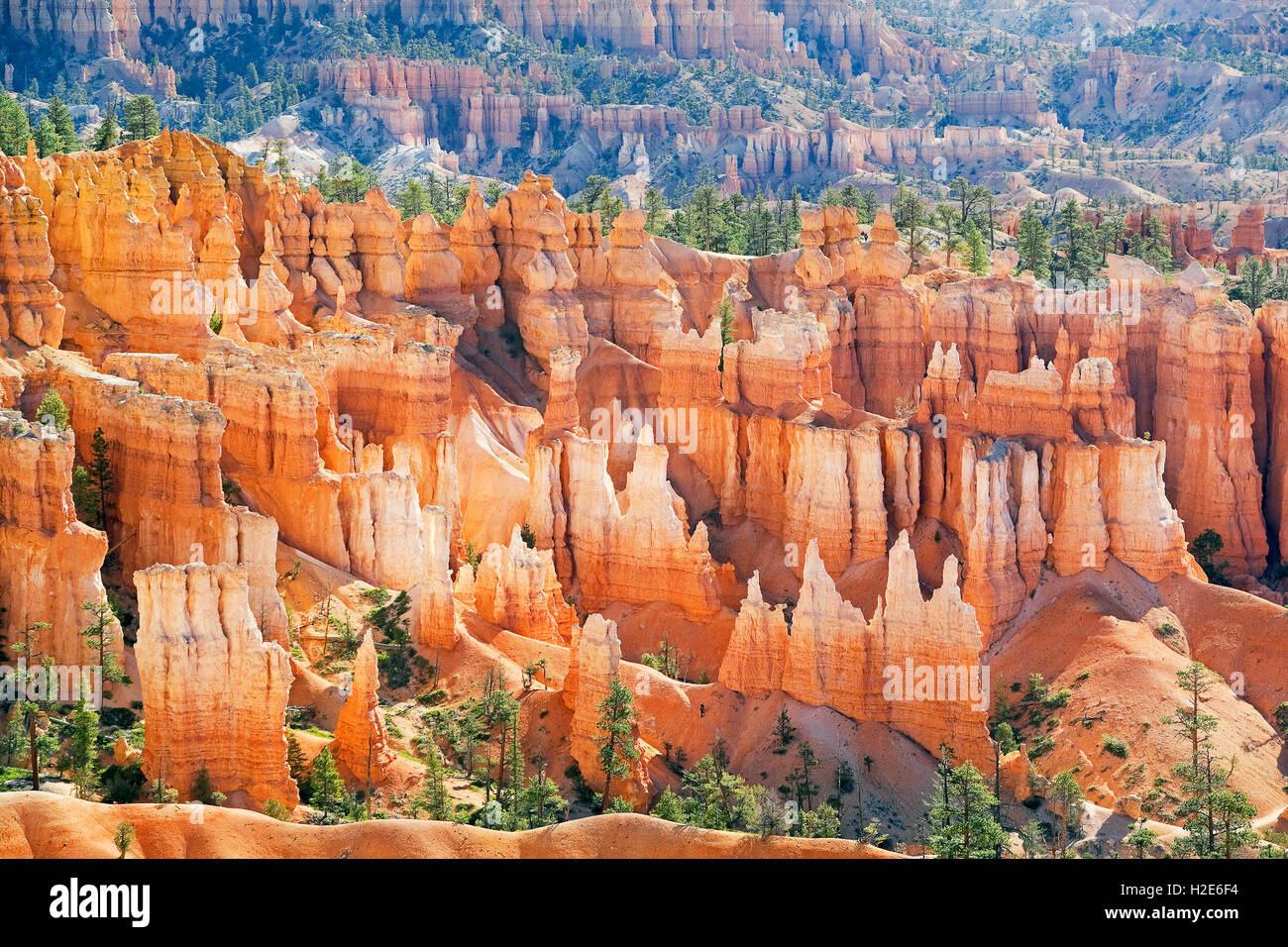 Sandsteinformationen, Felsnadeln, Bryce Canyon National Park, Utah, USA. Stockfoto