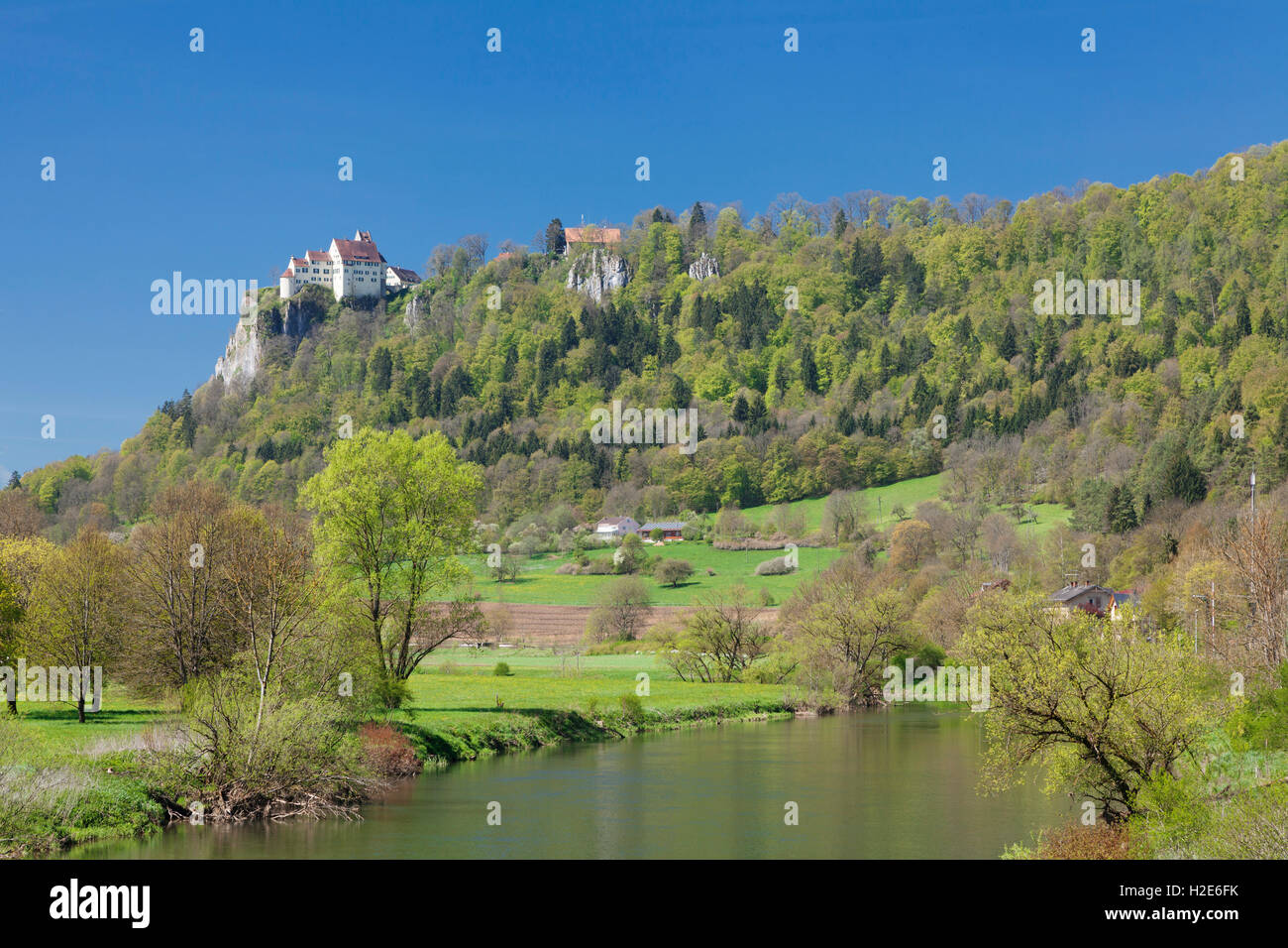 Schloss Werenwag im Frühjahr, Hausen an der Donau, Naturpark obere Donau, schwäbischen Alb, Baden-Württemberg, Deutschland Stockfoto