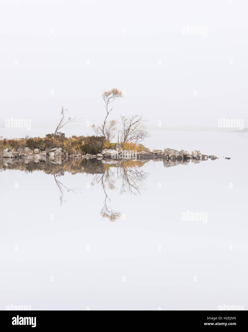 Reflektiert Silber Birken an einem nebligen Morgen in man Na h-Achlaise, Rannoch Moor, Schottisches Hochland, Schottland Stockfoto