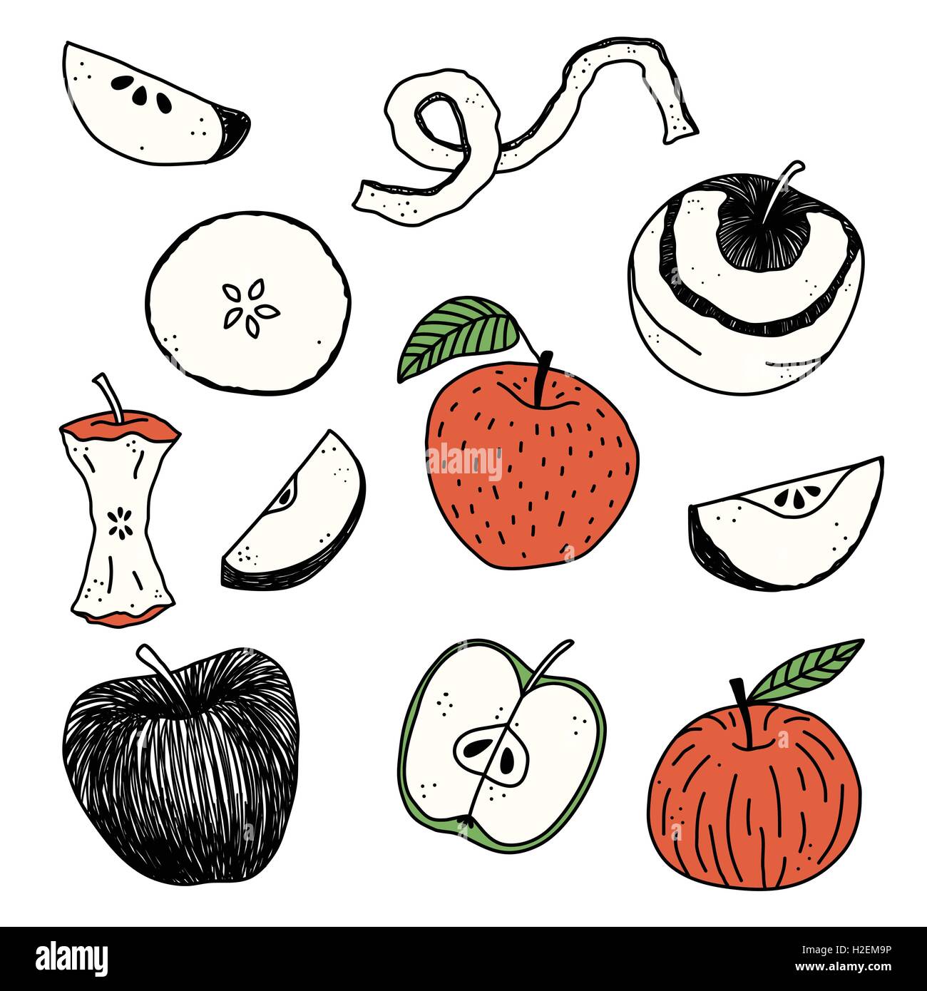 Äpfel-Hand gezeichnet-Vektor-illustration Stock-Vektorgrafik - Alamy