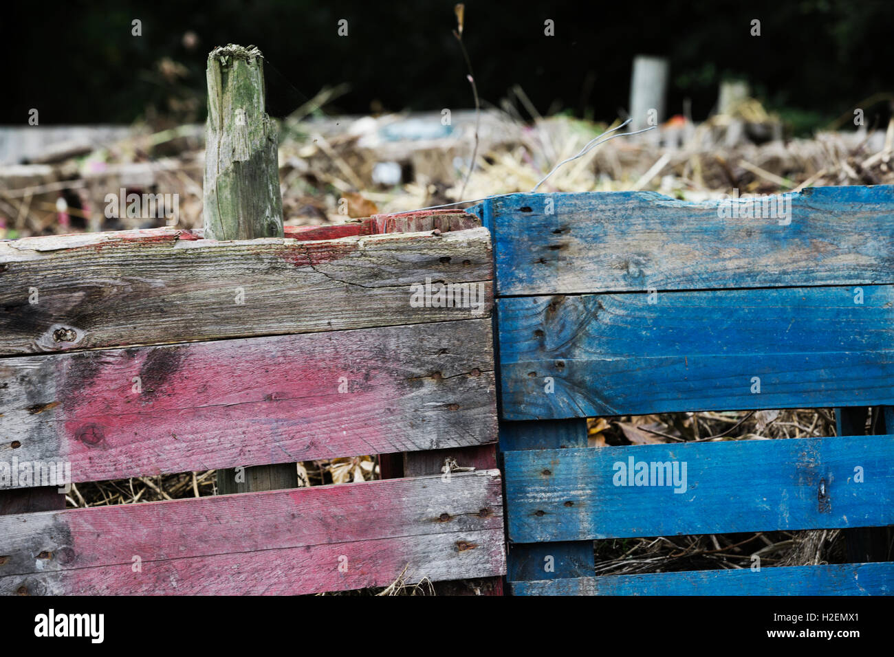 Ein Kompost hergestellt aus alten Holzpaletten mit toten Blumen, Gartenabfälle und Boden. Stockfoto