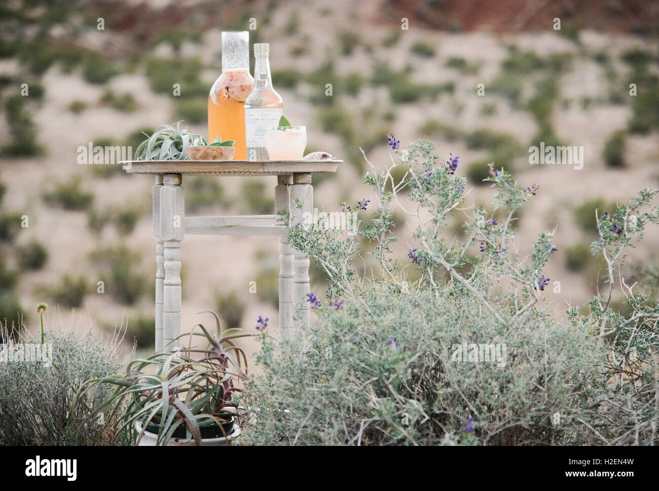 Glasflasche und Trinkgläser stehend in einer Wüstenlandschaft Stockfoto