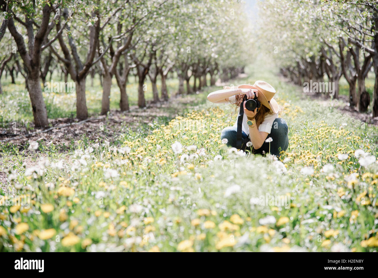 Eine Frau, die das Fotografieren in einem Obstgarten Amon g Wildblumen. Stockfoto