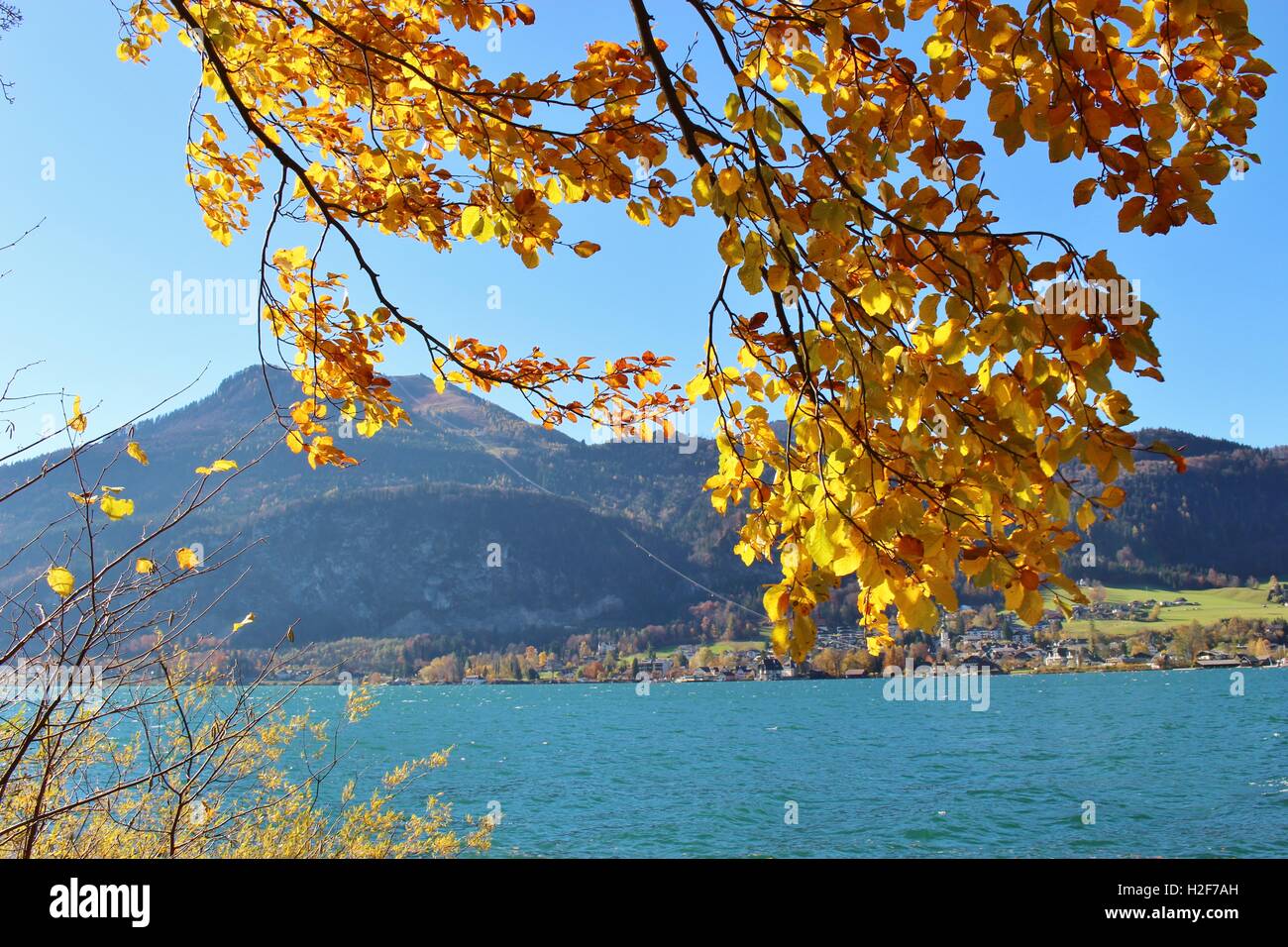 Am See Wolfgangsee im Herbst, Österreich, Europa. Stockfoto