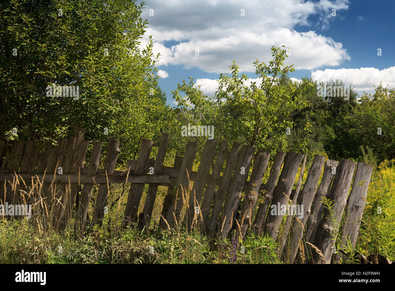 vernachlässigten Garten und eine wackelige Zaun an einem Sommernachmittag Stockfoto