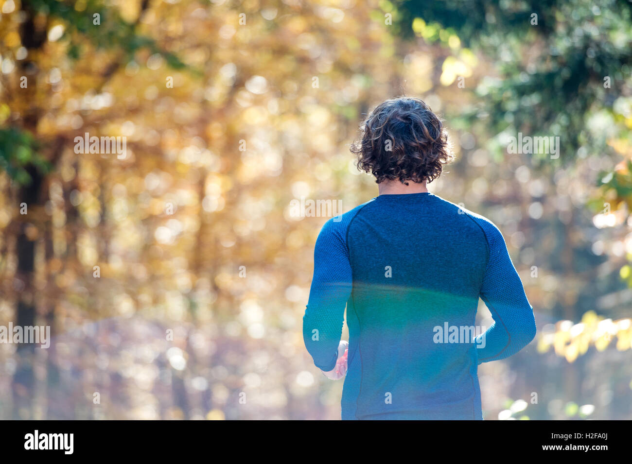 Junge hübsche Läufer außerhalb im sonnigen Herbst Natur Stockfoto