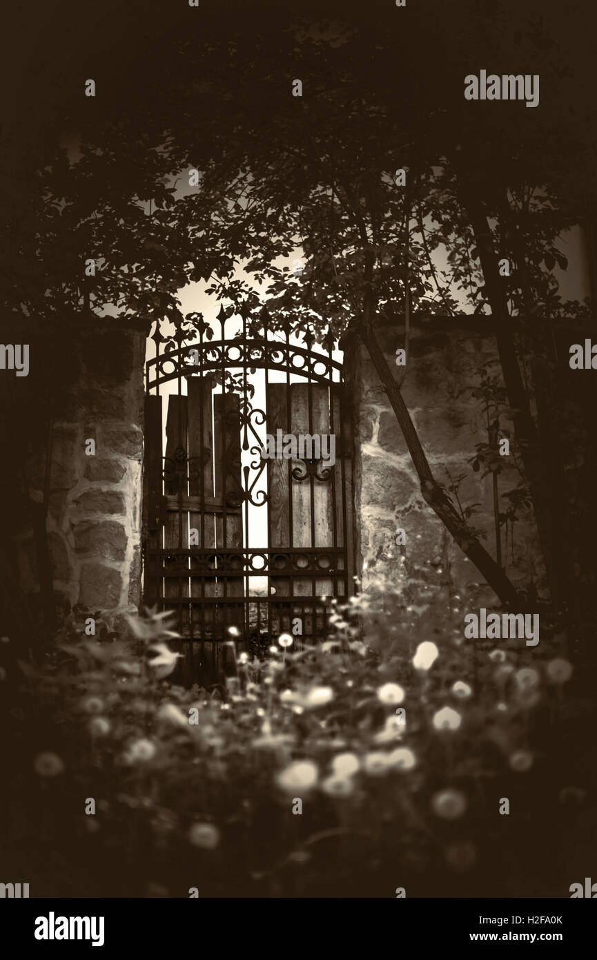 Blick auf das alte schöne Tor im Garten Stockfoto