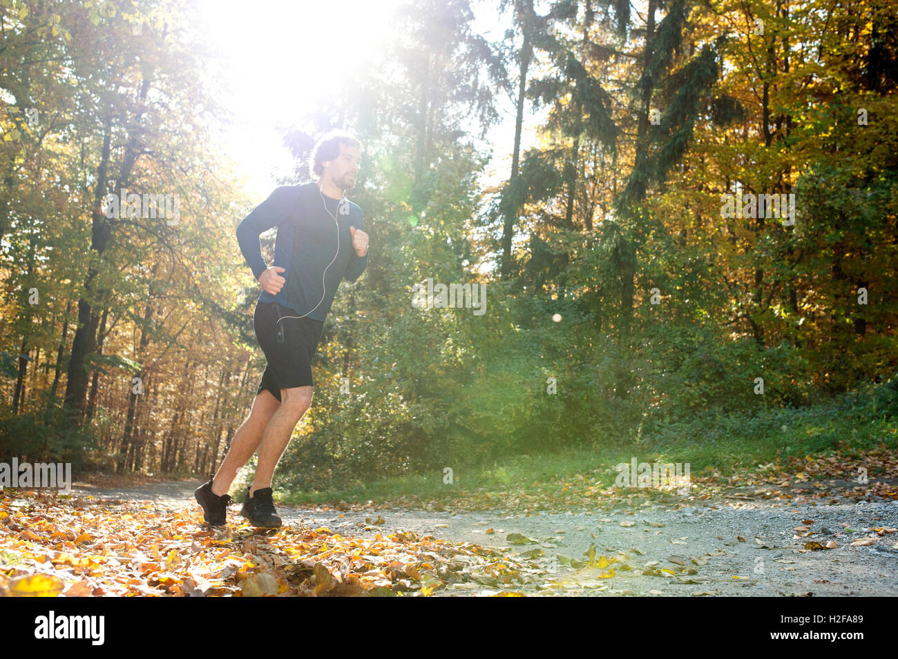 Junge hübsche Läufer außerhalb im sonnigen Herbst Natur Stockfoto