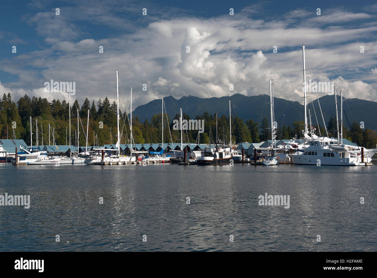 Nordansicht von Coal Harbour Marina, Vancouver British Columbia. Stockfoto