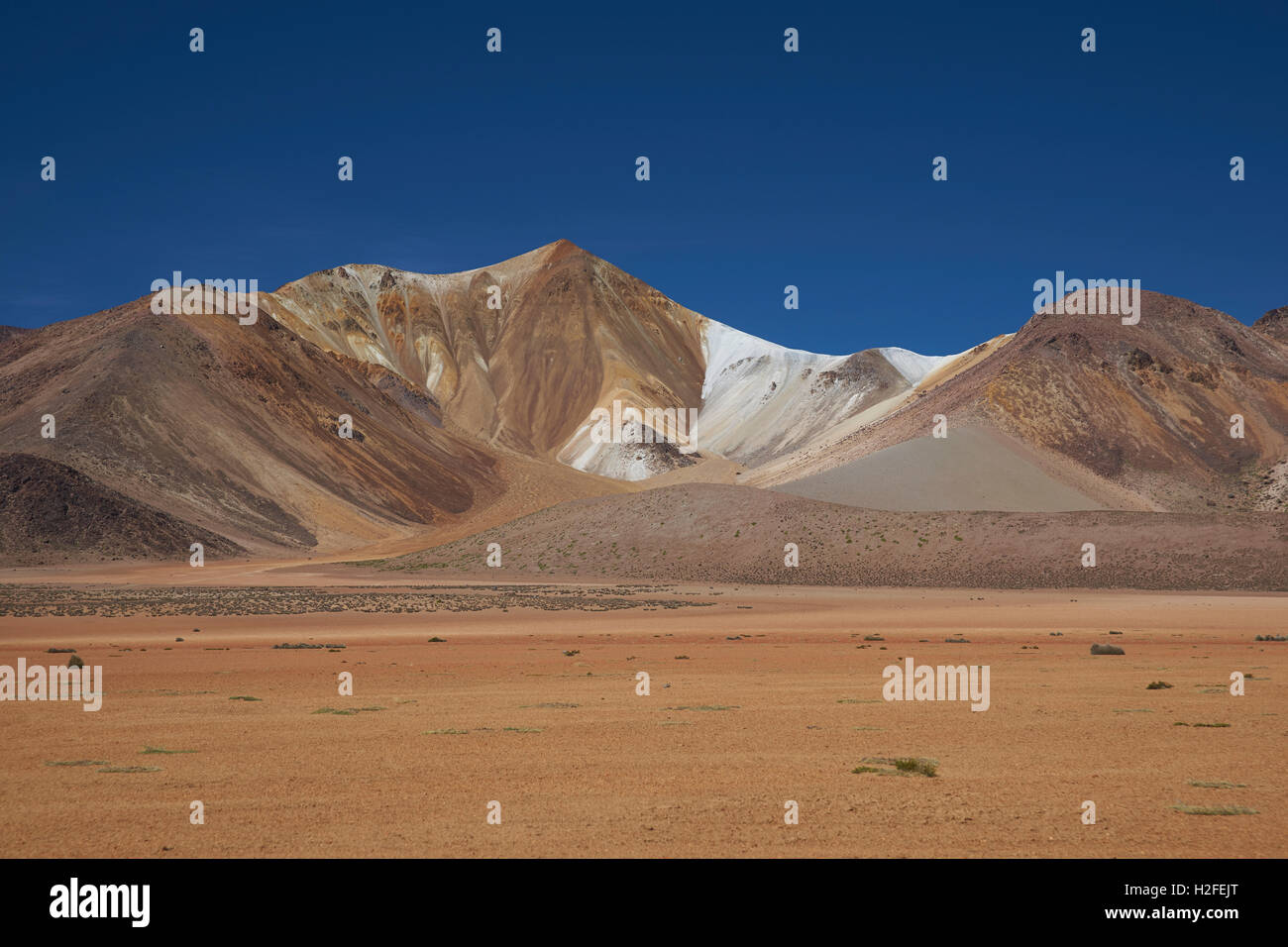 Altiplano von Chile Stockfoto