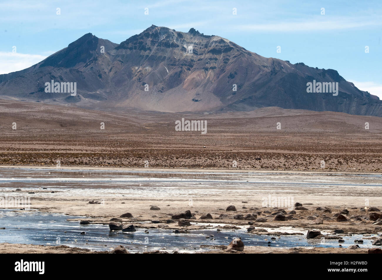 Parque Nacional Lauca auf dem Altiplano am bolivianischen-chilenischen Grenzposten von Chungara Stockfoto