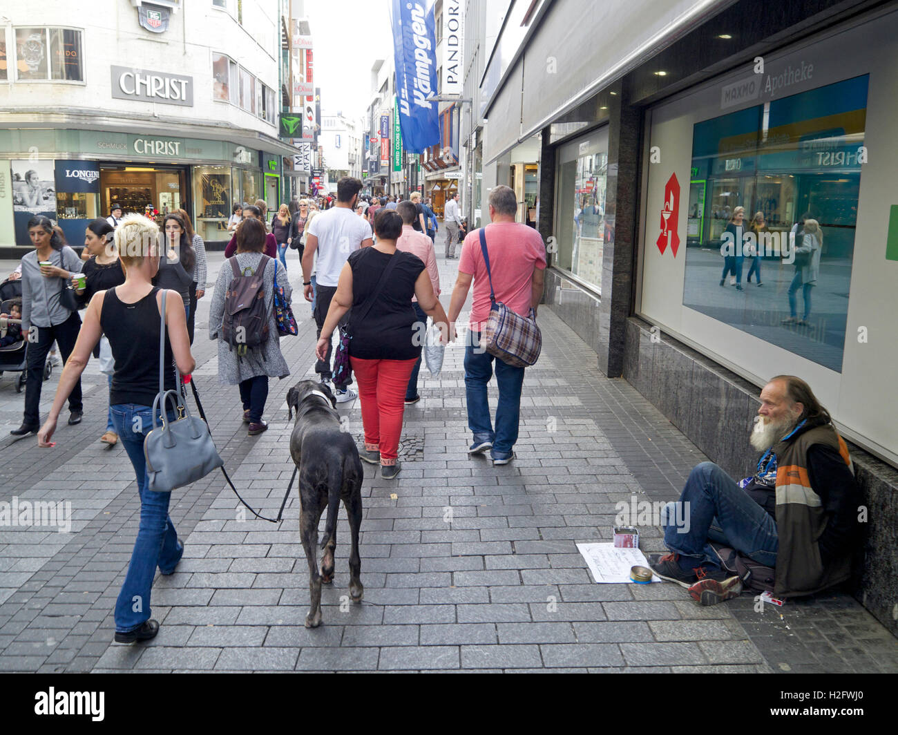 Straßenszene mit großer Hund und Vagabund auf Einkaufsstraße in Köln, Deutschland Stockfoto