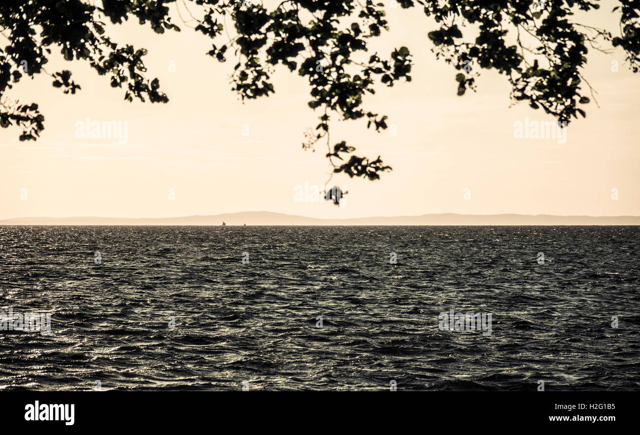 Natur im Hintergrund See und schönen Sommerlandschaft, Schweden. Malerische Aussicht auf Wasser und Himmel mit Ästen in der Silhouette. Stockfoto